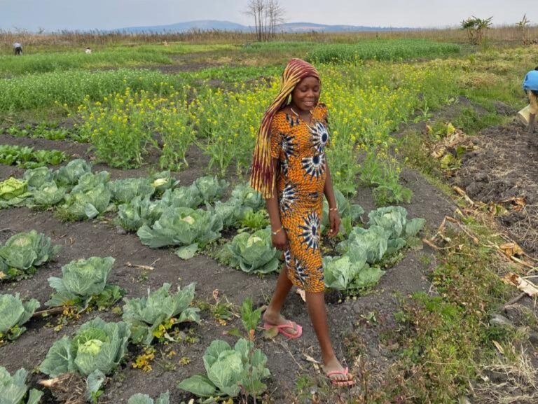 Ragazza cammina tra i campi di cavoli della farm di Wasa