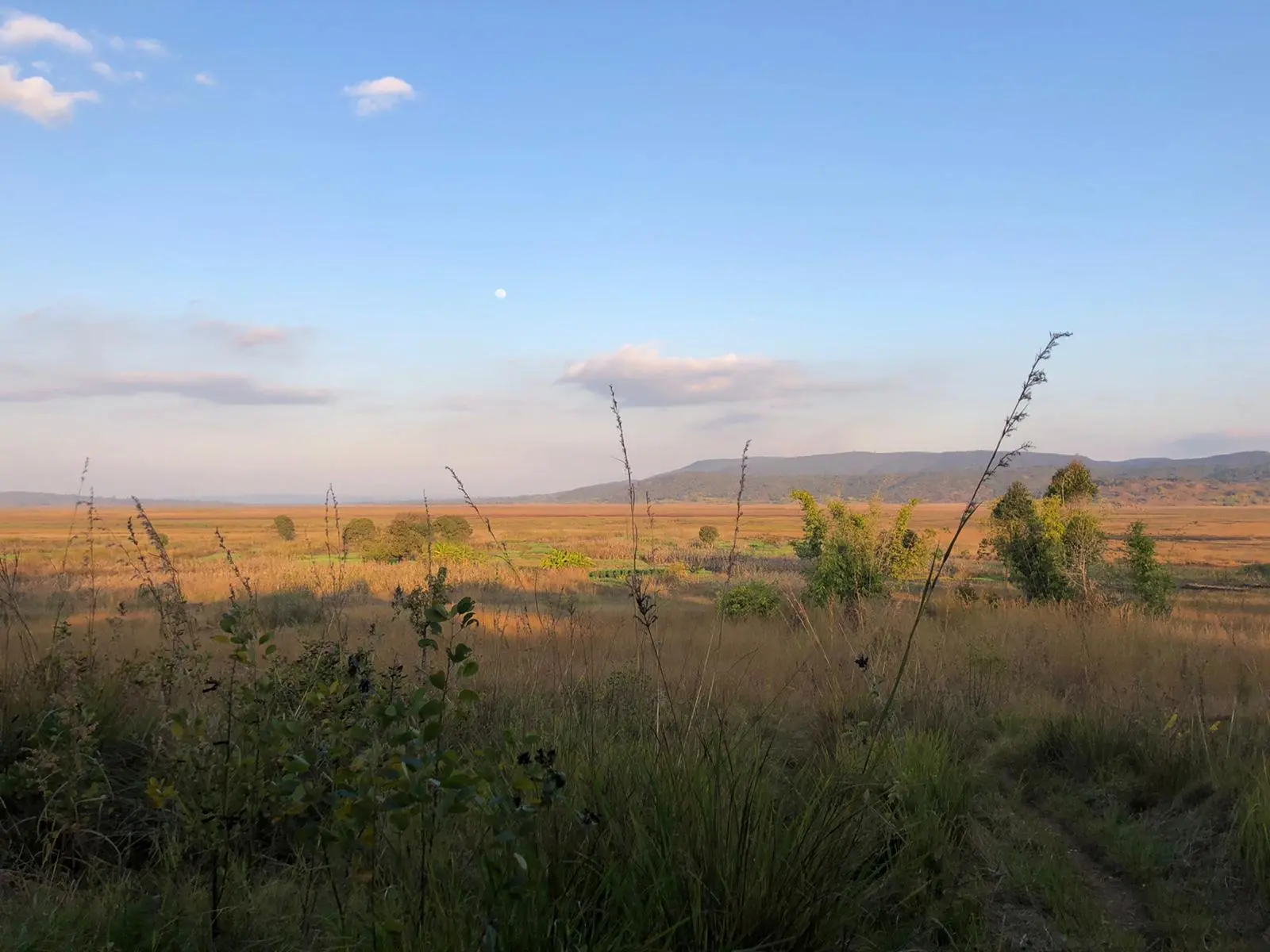 Paesaggio dell'altopiano di Wasa, in Tanzania